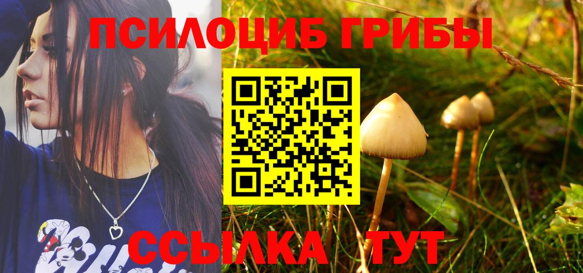 Клин  Псилоцибиновые грибы мухоморы  где купить наркотик  Вход с VPN 